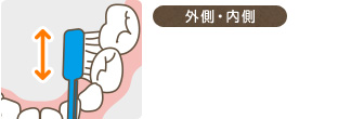 外側・内側