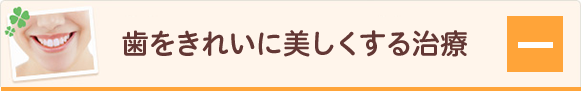 歯を綺麗に美しくする治療